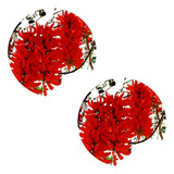 Kit 2 Mudas De Jade Vermelha Trepadeira Exótica Para Florir
