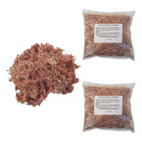 Kit 2 Musgos Sphagnum 5 Litros Substrato P Plantas Orquídea