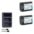 Kit 2 Np-fh50 Para Sony Hdr-tg1e Tg3 Tg5 Tg5v Tg7 Dsc-hx100v