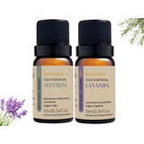 Kit 2 Oleos Essenciais Via Aroma Lavanda E Alecrim 10ml