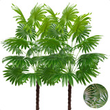 Decoração