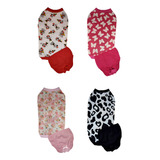 Kit 2 Peças Camiseta Calcinha Higiênica Pp Ao G Roupa Pet