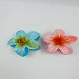 Kit 2 Piranhas Para Cabelo Flor BBB Maxi Praia Havaina Acessório Luxo Estilo Flores Brilho Moderna Presilha Prendedor Pregadeira De Cabelo Azul Laranja