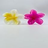 Kit 2 Piranhas Para Cabelo Flor BBB Maxi Praia Havaina Acessório Luxo Estilo Flores Brilho Moderna Presilha Prendedor Pregadeira De Cabelo Pink Amarelo 
