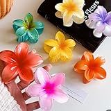 Kit 2 Presilha Piranha Flor Cabelo Vanessa Lopes Prendedor De Cabelo Acessórios Da Moda Cores Sortidas