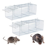 Rato