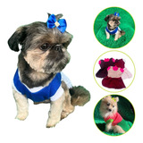 Kit 2 Roupa Pet Femea Vestido Cachorro Gato Pequeno Porte