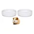 Kit 2 Unidades Comedouro Para Roedores De Porcelana 150ml