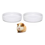 Kit 2 Unidades Comedouro