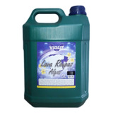 5l