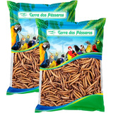 Kit 2 Unidades Tenébrio Gigante Desidratado Pássaros 100g