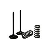Kit 2 Valvula Admissão 2 Molas Prox Crf250 R 10 17