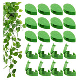 Plantas