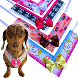 Kit 20 Gargantilhas Pet Para Fêmea Cores Vivas Super Lindas