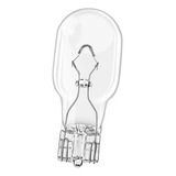Kit 20 Lampadas Camarao
