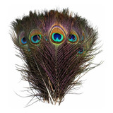 Kit 20 Penas Pavão Naturais P Artesanato Decoração Olho Cor Verde