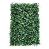 Kit 20 Placa De Buchinho 40x60 Jardim Vertical Artificial
