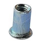 Kit 200 Peças Rebite M6 Rosca Interna Com Aba Plana Popnut Zincado Branco Cilindrico Recartilhado