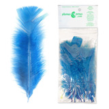 Kit 200 Unidades Penas Coloridas Artesanato Pena De Galinha Cor Azul turquesa