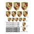 Kit 21 Adesivos Porsche Panamera Carrera Gt Carro Esportivo