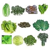 Kit 220 Sementes De Hortaliças E Ervas 10 Variedades Para Horta Caseira