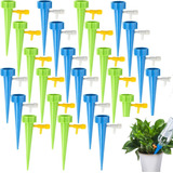 Planta