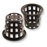 Cesta