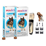 Kit 2und Bravecto Antipulga E Carrapatos 20a40kg Brinde