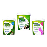 Kit 3 Adubo Fertilizante Forth Orquídeas By Peters 400g