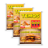 Kit 3 Banners Temos Pastéis Batata Lanches Fast Foods