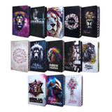 Kit 3 Biblias Jovem
