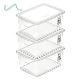 Kit 3 Caixa Organizadora 7 5l Ordene Design Moderno Cristal