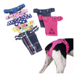 Kit 3 Calcinha Higiênica Pet Fêmea Cachorra Pickorruchos M