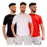 Kit 3 Camisetas Basicas