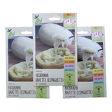 Kit 3 Cartela Semente De Abobrinha Bavette Espaguete Vegano