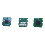 Kit 3 Chip Caixa Tanque C9344 L5590 Xp2100 Xp 3100 Wf 2810