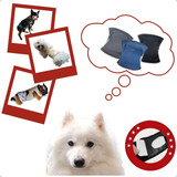 Kit 3 Fraldas Impermeável Reutilizável Para Cachorro Macho