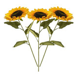 Arranjo