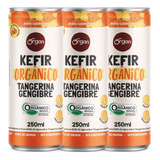 Kit 3 Kefir Orgânico Tangerina Gengibre