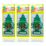 Pinus