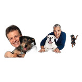 Kit 3 Livro Adestramento Inteligente Guia Cão Feliz