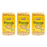 Kit 3 Milho Pipoca Orgânico Ecobio Zero Gordura E Sódio 500g