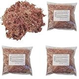 Kit 3 Musgos Sphagnum 5 Litros Substrato P Plantas Orquídea