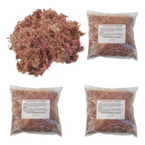 Kit 3 Musgos Sphagnum 5 Litros Substrato P Plantas Orquídea