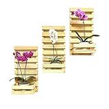 Kit 3 Painel Floreira Jardim Vertical Plantas Com Cachepos