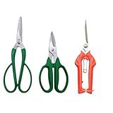 Kit 3 Pç Tesoura De Poda E Raleamento Para Uva Rosa E Jardins Com Laminas Super Afiadas Tesoura De Raleamento E Jardinagem Lâmina De Aço Inoxidável Revestida Antiaderente 