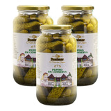 Kit 3 Pepino Em Conserva Danimar Vidro Grande 2 4 Kg