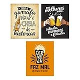 Kit 3 Placas Decorativas 20x25 Cerveja Bebida Canto Do Churrasco Bar