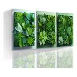 Kit 3 Placas Trio Decoração Folhas Verdes 3d Floreal Moderno