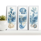 Kit 3 Quadrinhos Decorativos Concha Praia Paisagem Moldura
